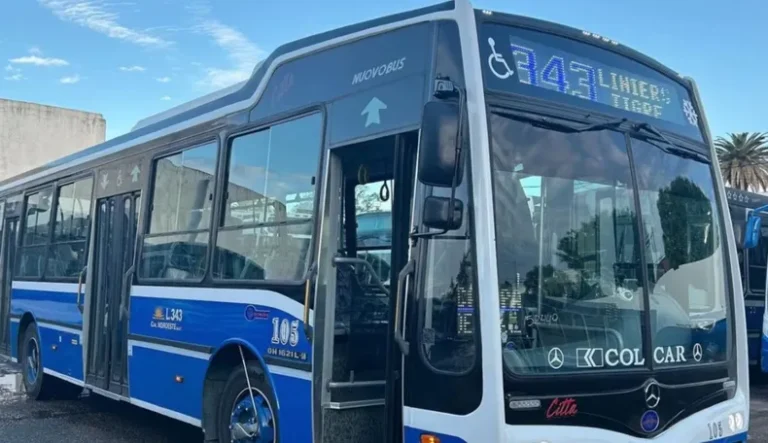 CONSULTA CIUDADANAS POR COLECTIVOS